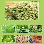 Slimming Tablets Factory - 28 Day Weight Loss Women Men