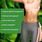 Weight Loss Capsules Manufacturer - Night Belly Fat Burner OEM