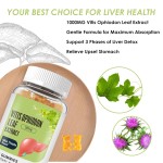 Wellness Gummy Factory - Vitis Leaf Milk Thistle Extract