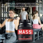 Mass Gainer Supplement Manufacturer - Whey Protein Creatine BCAA
