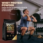 Whey Protein Powder Manufacturer - Chocolate Flavour Muscle Recovery