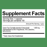 Green Tea Capsules Factory - EGCG Extract Slimming Products