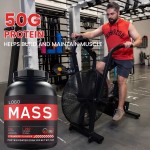 Mass Gainer Supplement Manufacturer - Whey Protein Creatine BCAA