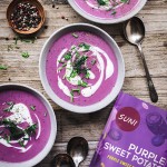 Taro Powder Manufacturer - Plant Extract Food Grade Purple