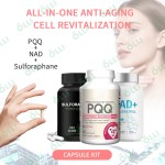 Anti-aging Supplement Supplier - NAD PQQ Sulforaphane Gummies