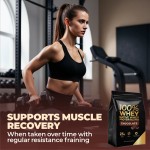 Whey Protein Powder Manufacturer - Chocolate Flavour Muscle Recovery