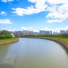 Specialized Bacterium for Wastewater Treatment,Clean Water,Reduce COD BOD TSS Level,Eliminate Sewage Smell