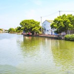 Specialized Bacterium for Wastewater Treatment,Clean Water,Reduce COD BOD TSS Level,Eliminate Sewage Smell