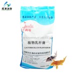 Probiotics Feed Additive Lactobacillus Plantarum