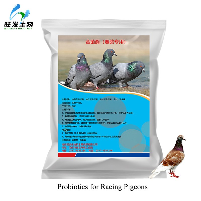 Probiotics for Racing Pigeons