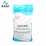 Denitrifying Bacteria