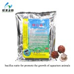 Nattomin(bacillus Natto for Promote the Growth of Aquacture Animals)