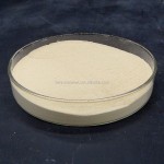 Specialized Bacterium for Fermenting Kitchen Waste to Fertilizer