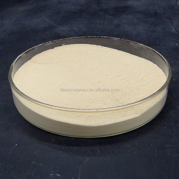 Specialized Bacterium for Fermenting Kitchen Waste to Fertilizer