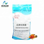 Denitrifying Bacteria Sewage Treatment Plant