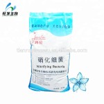 Nitrifying Bacteria for Aquatic