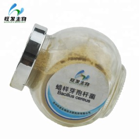 Feed Grade Bio Fertilizer Powder Bacillus Cereus