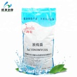 Actinomyces for Agriculture Plant Anti Disease