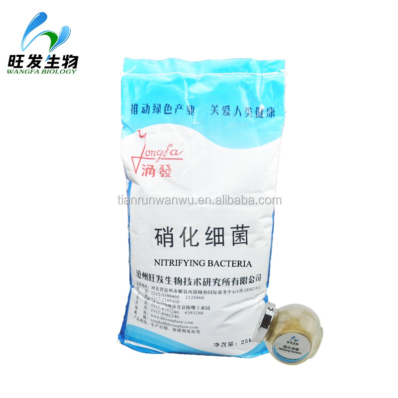 Aquaculture&sewage Nitrite Remover Nitrifying Bacteria