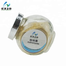 Actinomyces for Agriculture Plant Anti Disease