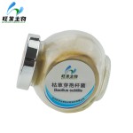 Feed Additives Veterinary Drugs Bacillus Subtilis