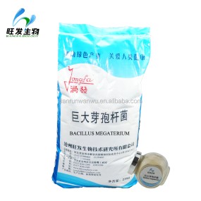 Bacillus Megaterium(phosphate Solubilizing Bacteria)