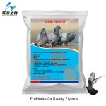 Probiotics for Racing Pigeons
