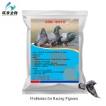 Probiotics for Racing Pigeons
