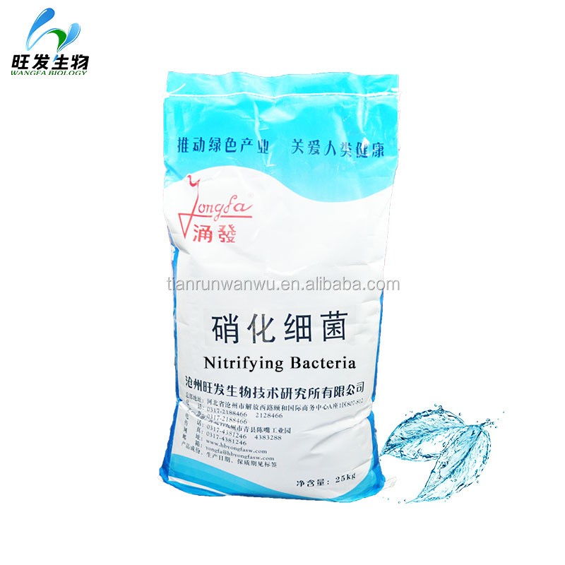 Nitrifying Bacteria for Degrading the Ammonia, BOD and COD in Sewage Treatment Plant