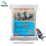 Probiotics for Racing Pigeons