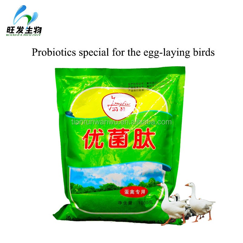 Strengthen the Eggshell Hardness-egg-laying Poultry Feed Additive Probiotics