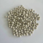 Probiotic Pills for Racing Pigeons Supplement of Calcium, Phosphorus and Probiotics