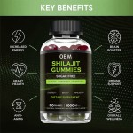 Shilajit Gummies Factory - OEM Organic Plant Extract Himalayan