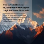 Shilajit Resin Factory - OEM Fulvic Acid Trace Minerals 100 Serving