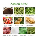 Green Coffee Factory - OEM Halal White Kidney Bean Stick