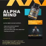 Brain Health Capsules Factory - OEM Memory Alpha GPC Nootropic