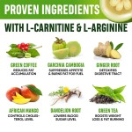 Diet Drops Manufacturer - OEM L Carnitine Arginine Fat Burning