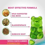 Seamoss Gummies Factory - OEM Irish Bladderwrack Burdock Vegan