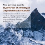 Shilajit Resin Factory - OEM Fulvic Acid Trace Minerals 100 Serving