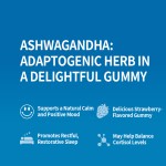 Ashwagandha Gummies Manufacturer - OEM Immune Support Relax Candy