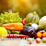 Vitamin B Tablets Supplier - OEM Halal Immune Brain Support