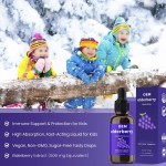 Elderberry Drops Factory - OEM High Potency Immune Antioxidant