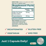 Nootropic Capsules Supplier - OEM Brain Focus Phosphatidylserine