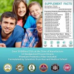 Probiotic Powder Factory - OEM Vegan Digestive Gut Health Prebiotic