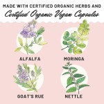 Lactation Capsules Manufacturer - OEM Fennel Seed Fenugreek Moringa