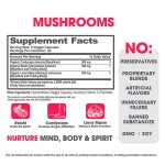 Immune Booster Capsules Supplier - OEM Reishi Lions Mane Mushroom