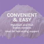 Mushroom Drops Supplier - OEM Lions Mane Memory Nerve Support