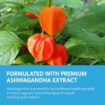 Ashwagandha Gummies Manufacturer - OEM Immune Support Relax Candy