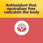 Vitamin E Softgels Factory - OEM Antioxidant Immune Skin Protection