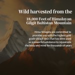 Shilajit Resin Supplier - OEM 30g Vegan Black Pure Himalayan